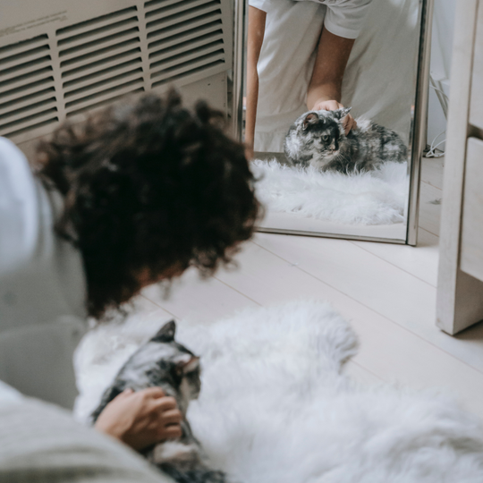 Ebrendészet és Gyepmersteri Telep Balatonfüred