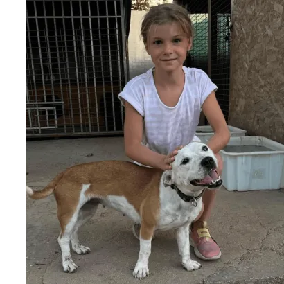 Ebrendészet és Gyepmersteri Telep Balatonfüred