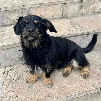 Ebrendészet és Gyepmersteri Telep Balatonfüred