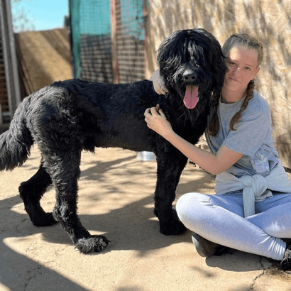 Ebrendészet és Gyepmersteri Telep Balatonfüred