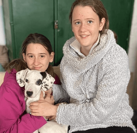 Ebrendészet és Gyepmersteri Telep Balatonfüred