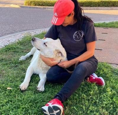 Ebrendészet és Gyepmersteri Telep Balatonfüred