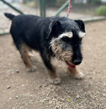 Ebrendészet és Gyepmersteri Telep Balatonfüred