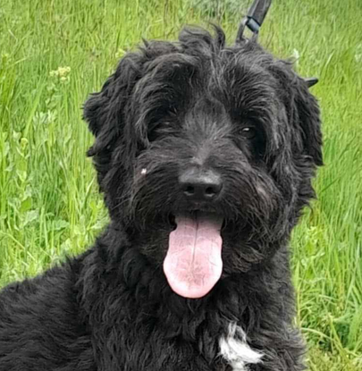 Ebrendészet és Gyepmersteri Telep Balatonfüred