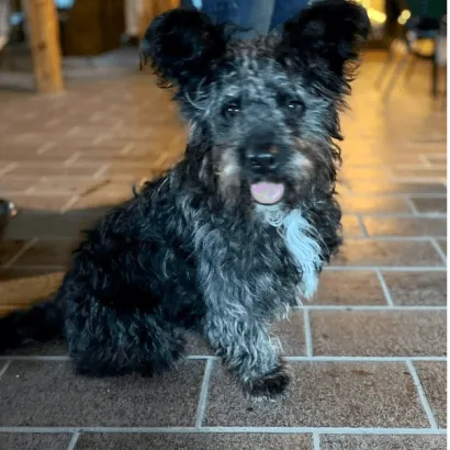 Ebrendészet és Gyepmersteri Telep Balatonfüred